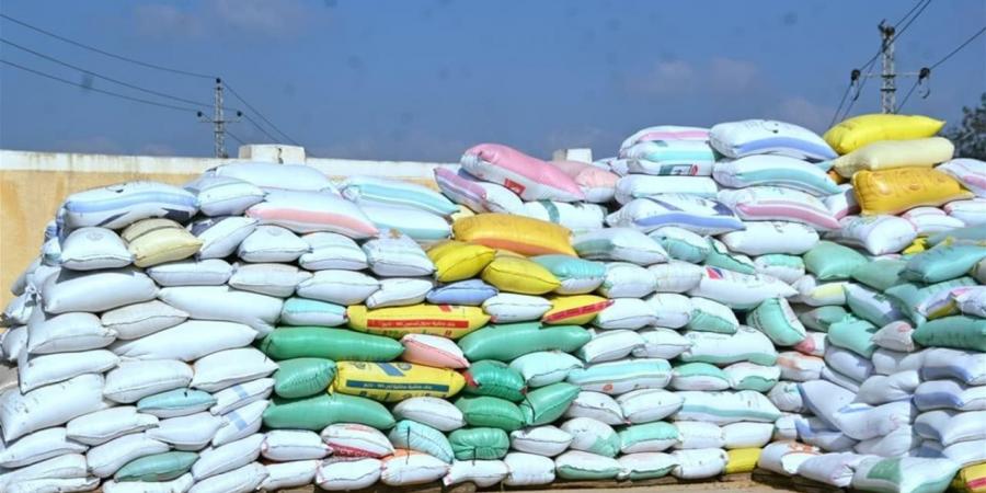 محافظ البحيرة: توريد أكثر من 392 ألف طن قمح محلي.. و44 موقعاً جاهزاً للاستلام