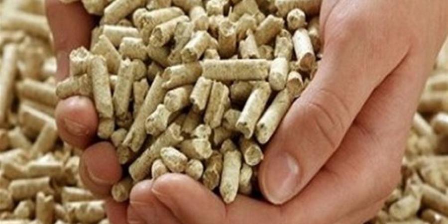 أسعار الأعلاف والحبوب في الغربية اليوم الأحد 7 يونيو 2026