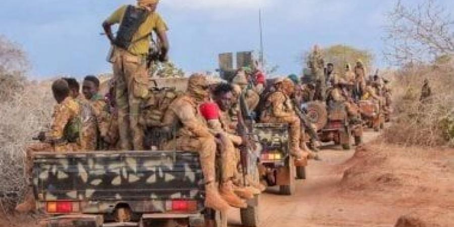 الجيش الصومالي ينفذ عملية عسكرية ضد مواقع إرهابية في شبيلي السفلى