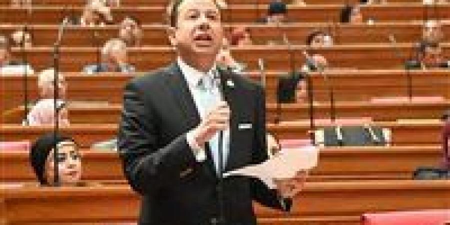 النائب حسن عمار يطالب بخطة دعم وإنقاذ لأصحاب الورش والصناعات الصغيرة في بورسعيد