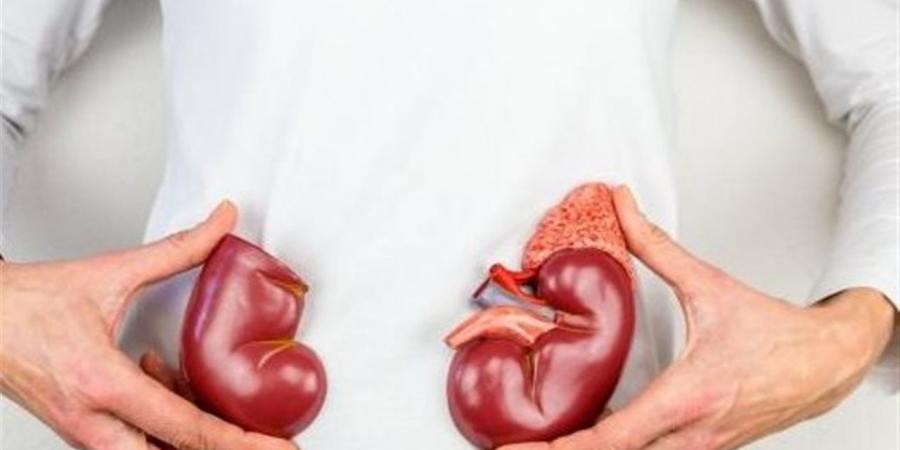 فئة شائعة من أدوية الضغط قد ترتبط بتدهور الكلى لدى مرضى السكري