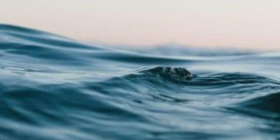 اليوم العالمى للمحيطات.. دعوة لحماية رئة الأرض والحفاظ على الحياة البحرية