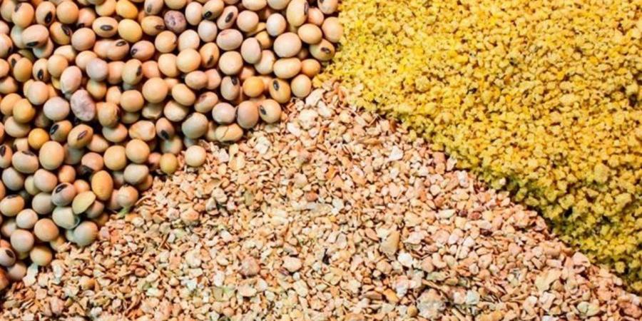 أسعار الأعلاف والحبوب في الغربية اليوم الإثنين 8 يونيو 2026