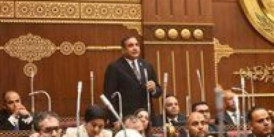 عماد خليل أمام الشيوخ: الخطة طموحة ونطالب بآليات لتنفيذ مستهدفات الصادرات وتدريب العمالة لأسواق أوروبا والخليج