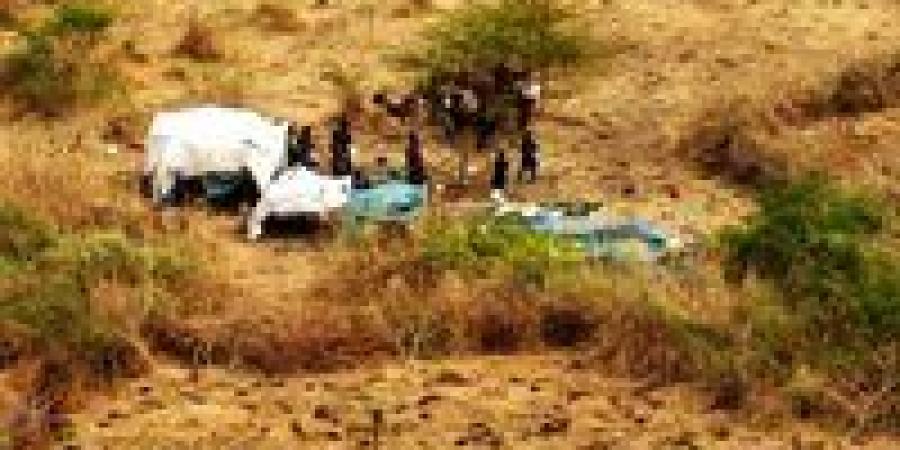 أوضاع كارثية تواجه مئات الأسر.. معاناة النازحين مع دخول «الخريف» في السودان