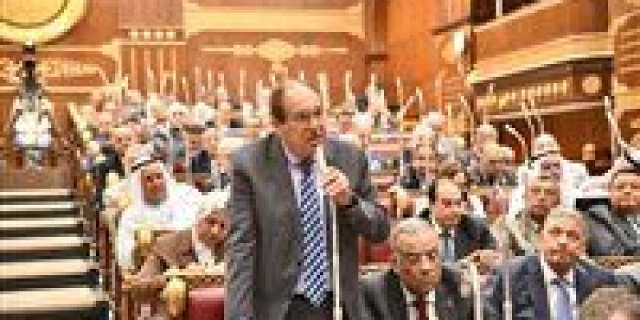 حسام الخولي: الصدمات الخارجية تعقد تقييم أداء الحكومة و3 سيناريوهات بخطة التنمية تضمن محاسبة أكثر دقة