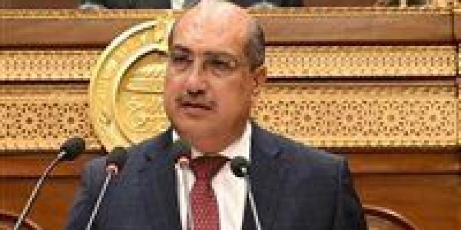 برلمانية الشعب الجمهوري: خطة التنمية الاقتصادية تمثل خطوة مهمة في مسار التخطيط التنموي للدولة