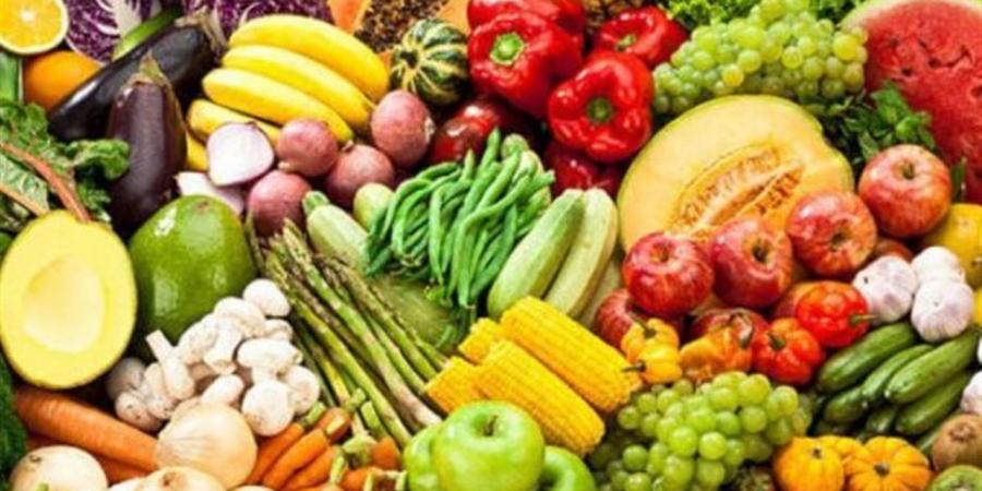 تصدير 285 ألف طن صادرات زراعية والموالح والبصل على رأس القائمة