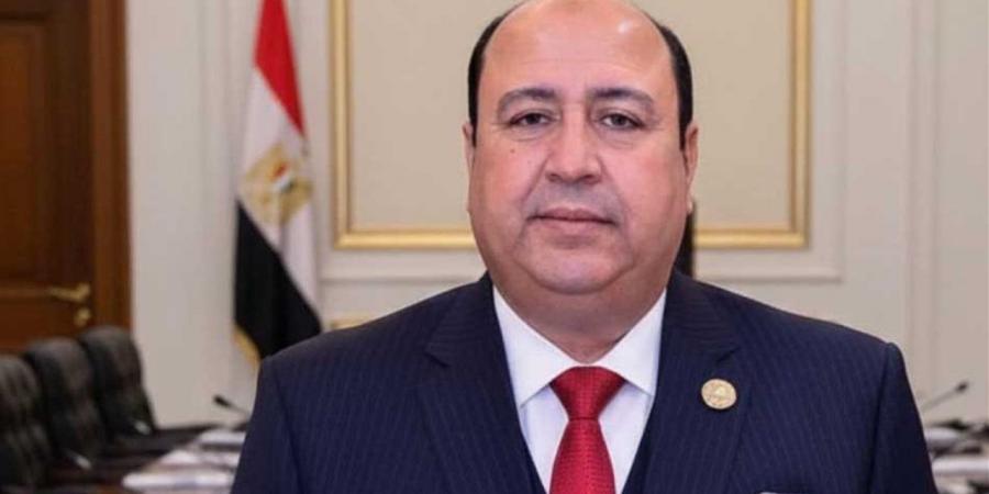 نائب: اجتماع الفصائل بالقاهرة يعكس دور مصر في تعزيز فرص التهدئة بغزة