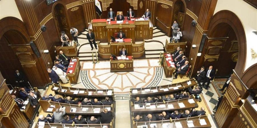 مجلس الشيوخ يوافق على اقتراح مشاركة المصريين بالخارج في الاستثمار الصناعي