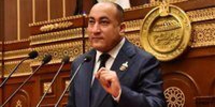 عمرو رشاد يطالب بملاحقة مروجي الدعارة إلكترونيًا وتفعيل نصوص القانون الرادعة