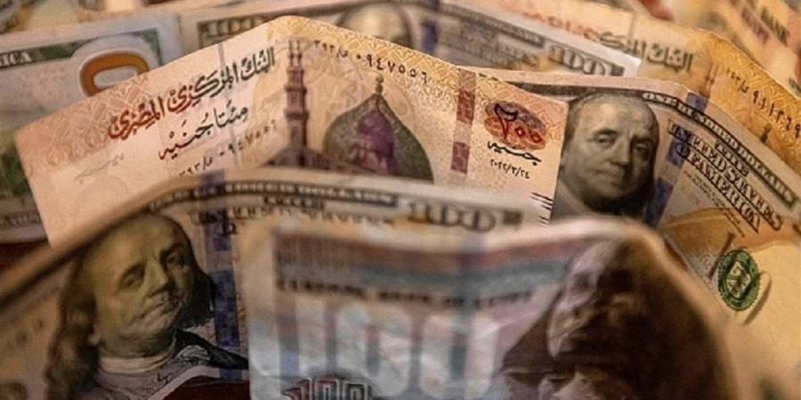 الدولار تحت الـ50.. تقارير دولية: الجنيه المصرى يسترد عافيته مع نمو الاحتياطى الأجنبى وزيادة تحويلات العاملين بالخارج والاستثمارات