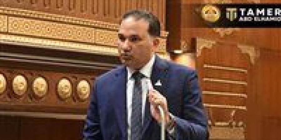 برلماني: الدعم النقدي أكثر كفاءة.. ونجاحه مرهون بالتنفيذ الدقيق