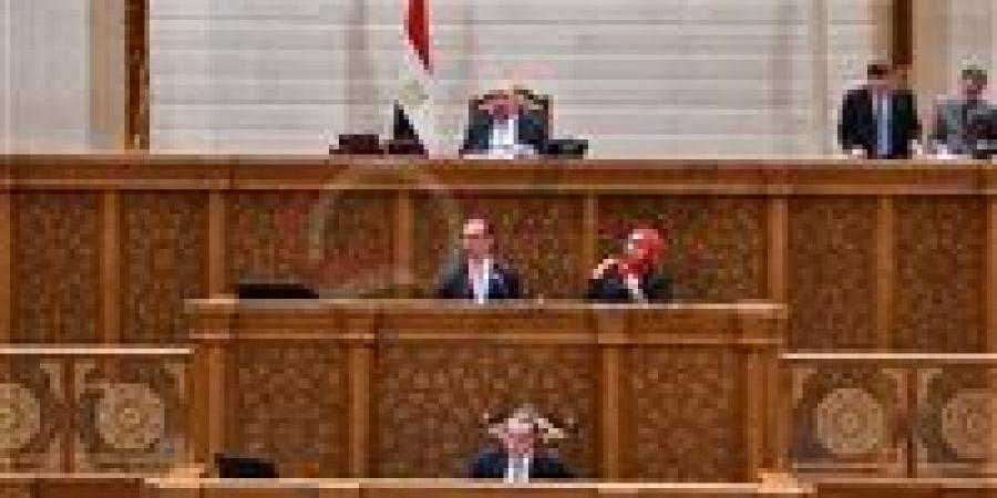 مجلس النواب يوافق على منحة من الوكالة الفرنسة بقيمة 2 مليون يورو لدعم الرعاية الاجتماعية والتأمين الصحي الشامل