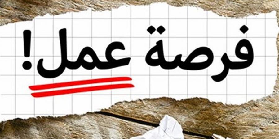 7781 فرصة عمل جديدة متاحة للشباب في 11 محافظة.. موعد وطريقة التقديم