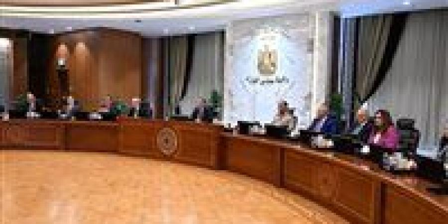 الوزراء: مصر من الدول القليلة التي أعدت وثيقة سياسة ملكية الدولة بالمنطقة والعالم
