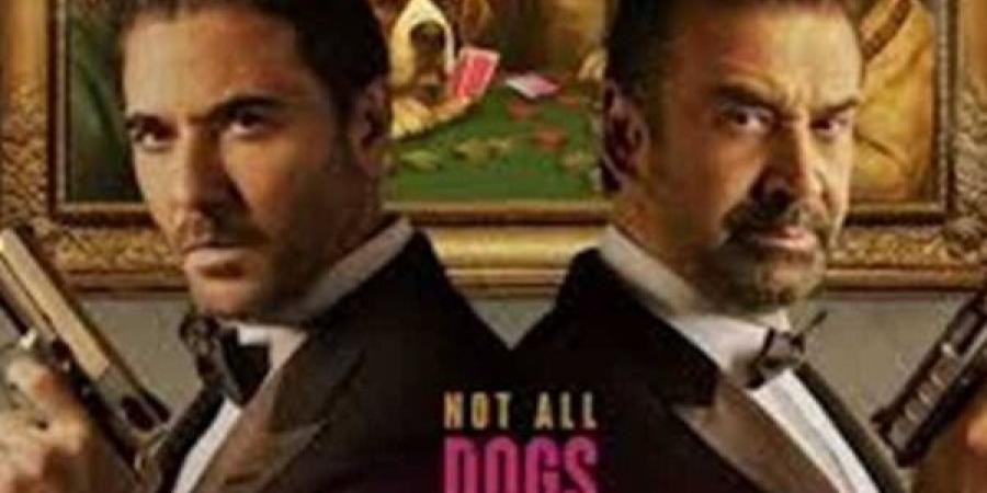 ترتيب إيرادات الأفلام أمس.. فيلم 7 Dogs أولًا والقصص في المركز الأخير