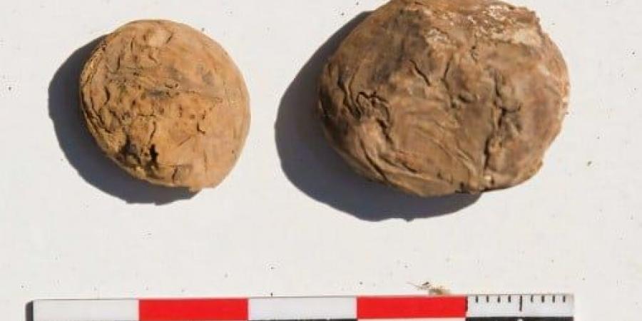 العثور على بطاطس مجففة بالتجميد عمرها 500 عام من عهد الإنكا في بيرو