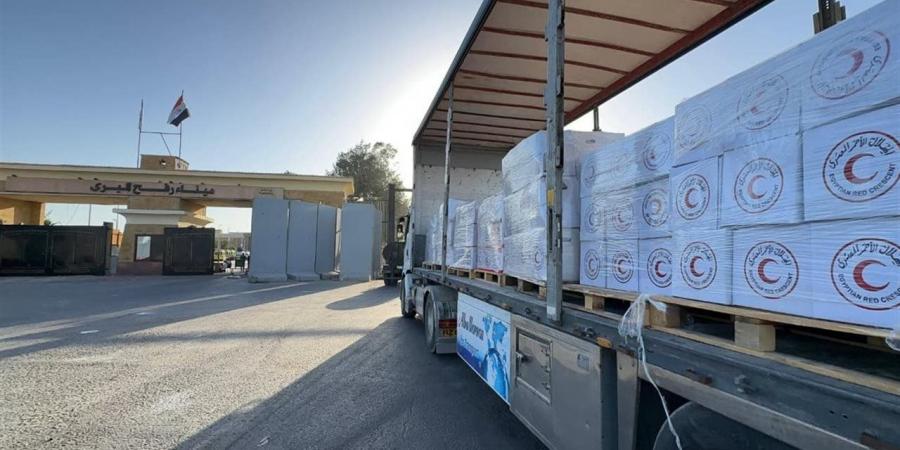 قافلة زاد العزة 216 تنقل 3000 طن مساعدات مصرية لدعم غزة
