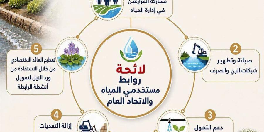 "الري" تعلن لائحة النظام الأساسي لروابط مستخدمي المياه في مصر (إنفوجراف)