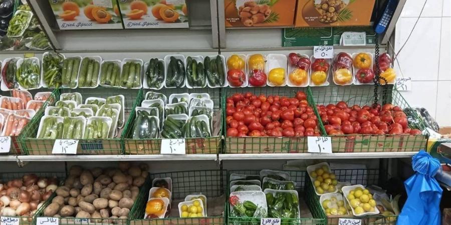 توفر الخضروات والفاكهة بأسعار مخفضة.. مبادرة "دايمًا جنبك" تجوب الإسكندرية
