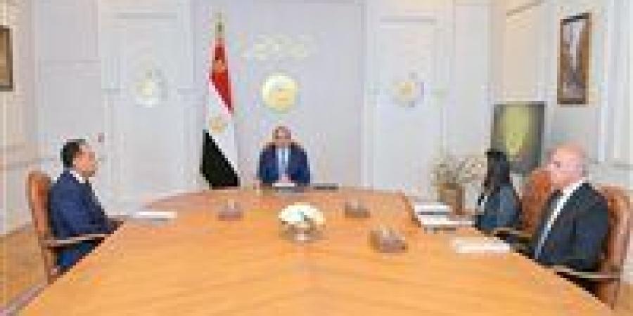عاجل.. الرئيس السيسي يجتمع مع رئيس الوزراء ووزيرة التضامن