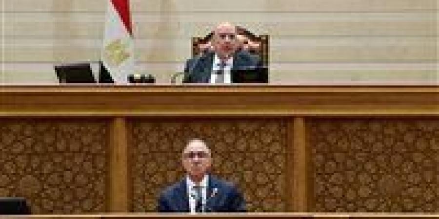 مجلس النواب يوافق على منحة أوربية بقيمة 1.2 مليون دولار لدعم محطات الصرف بالإسكندرية ودمياط