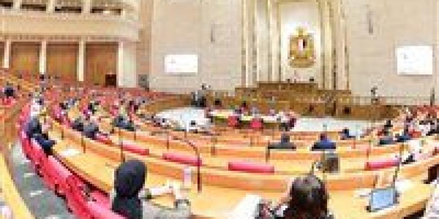 النائبة هدير رائف: خفض ضريبة الأجهزة الطبية إلى 5% يدعم توطين الصناعة ويخفف تكلفة العلاج على المواطنين
