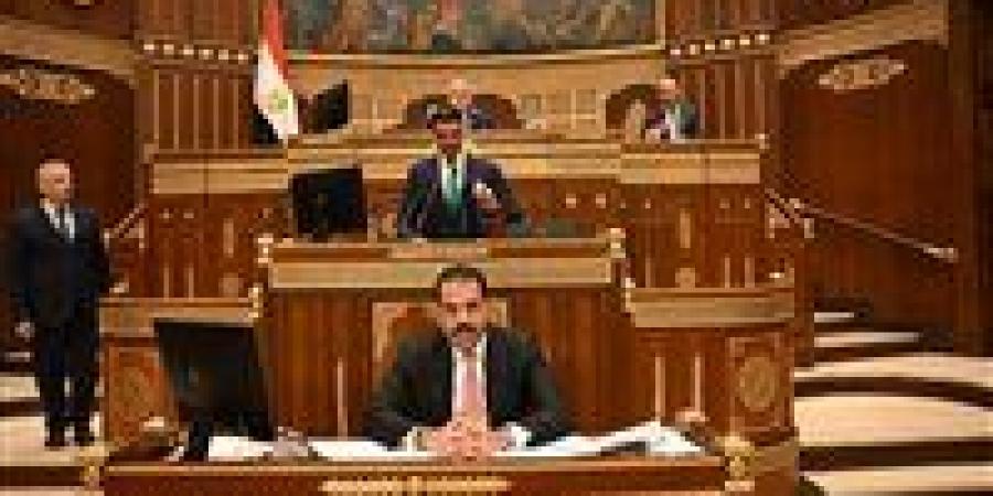 وزير الصناعة أمام مجلس الشيوخ: الصناعة أولوية للتنمية.. و100 مليار دولار صادرات هدف 2030