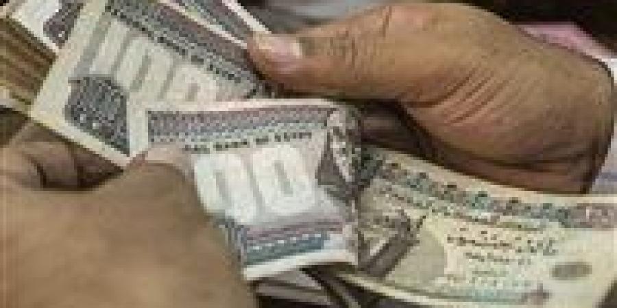 وزارة العمل تعلن توفير 4504 فرصة عمل جديدة في 14 محافظة خلال يونيو 2026