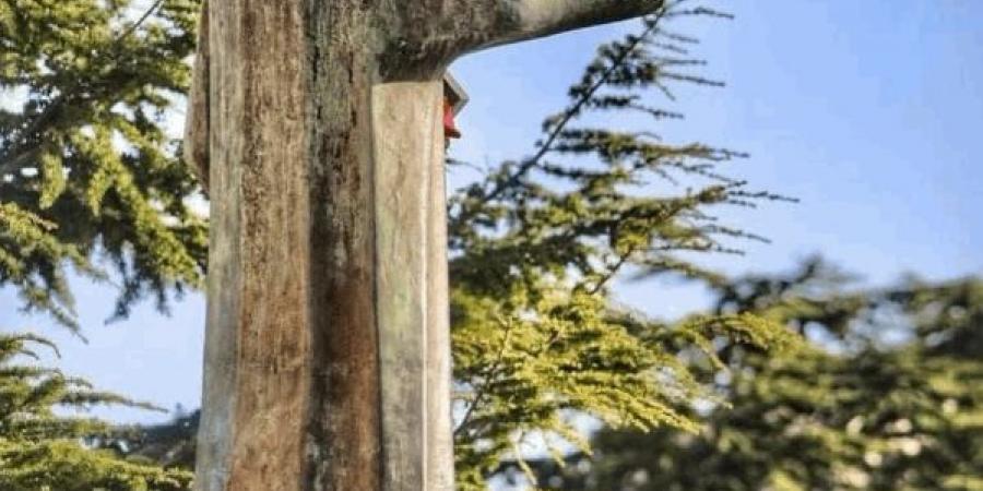 عنّايا تجمعهم".. اللبنانيون عند مار شربل بلا طوائف